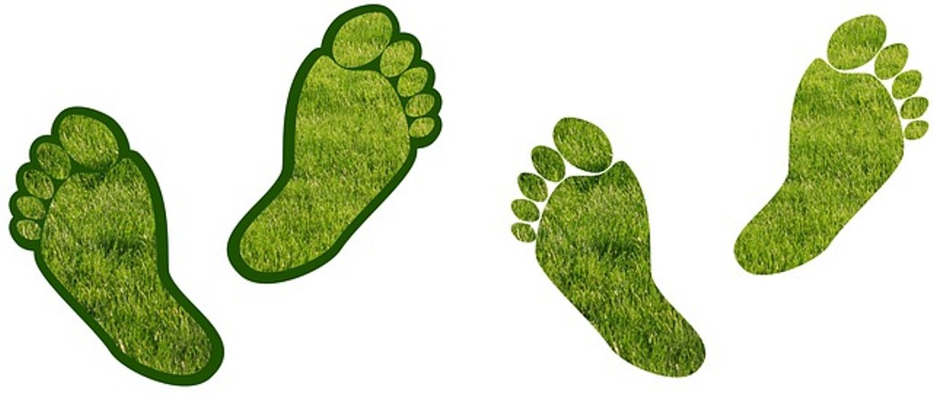 Carbon footprint