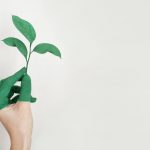 Green Entrepreneurship