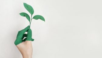 Green Entrepreneurship