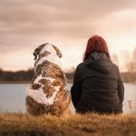 Pet brand