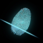 Prevent Identity Theft: