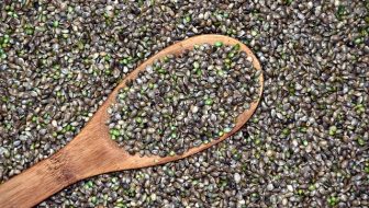 Cannabis Seeds Online