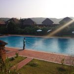 How to Start a Pool Cleaning Business