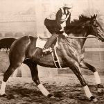 Seabiscuit movie cover