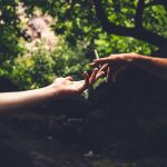 Best Cannabis Business Social Network