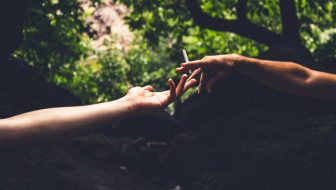 Best Cannabis Business Social Network