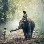 9 Curiosities about the History of India that even the most Educated can Ignore