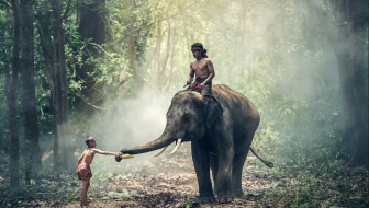 9 Curiosities about the History of India that even the most Educated can Ignore