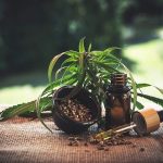 How to Invest in the Cannabis Industry: 5 Factors to Consider