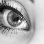 eyelash business