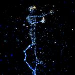 Metaverse 