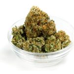 stash