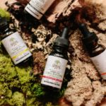CBD hemp strain with different terpenes in them.
