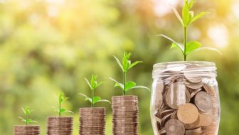 A coin and a jar tree.