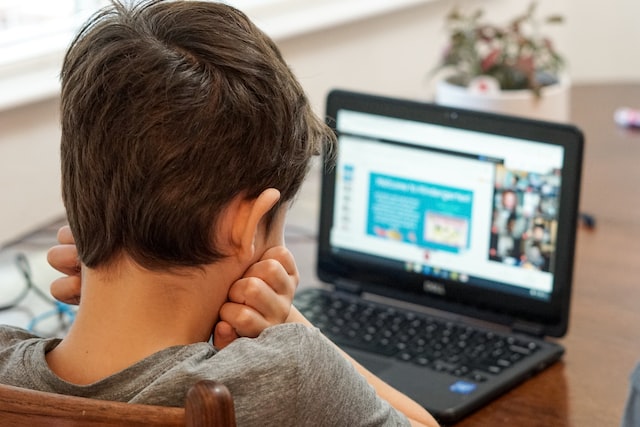 A boy learning online.