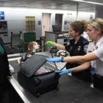 Customs Duty