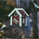 Home