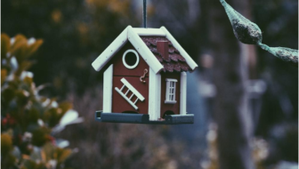 Home