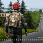 Videogame