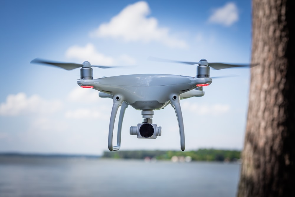 Aerial Watchdogs: Exploring the Potential of Drones for Security