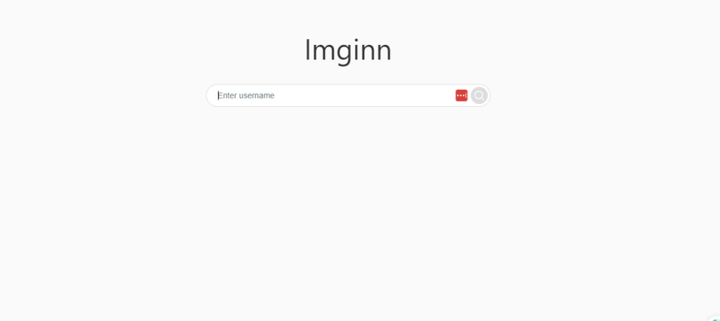 Imginn – Is It Safe To Use? (Instagram Video Downloader)