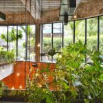 Pest-Friendly: 10 Plants You Should Think Twice About Growing in Your Home or Garden
