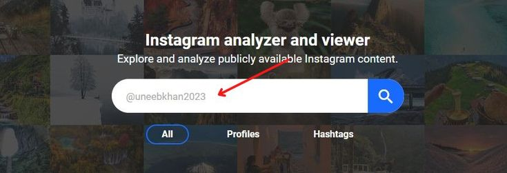 Gramhir: The Ultimate Instagram Viewer and Analyzer