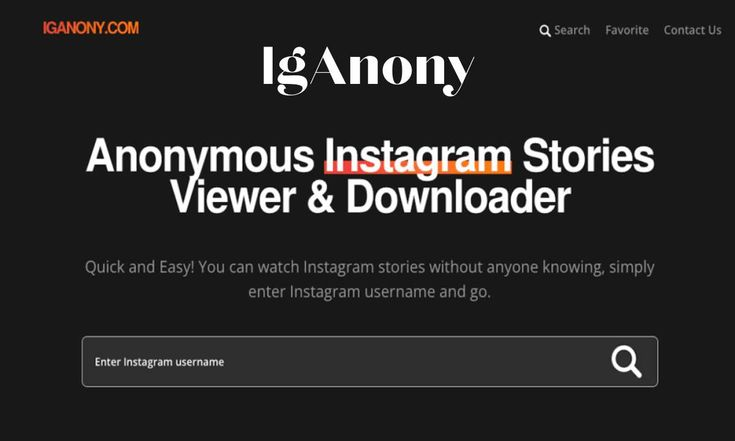 IgAnony Review- Instagram Anonymous Story Viewer
