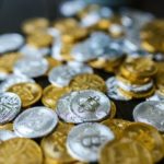 Enhancing Privacy and Data Integrity:Bitcoin and Horizen