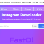 Instagram video downloader