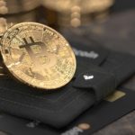 Guide to Varieties of Bitcoin Wallets and Their Applications