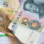 The Digital Yuan
