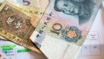 The Digital Yuan