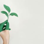 Eco-Friendly Practices Every Burleson Business Should Adopt