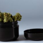 A Beginner's Guide to Finding Your Ideal Cannabis Dispensary