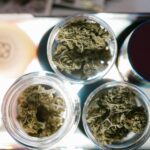 Quality Matters: The Importance of Finding a Good Cannabis Dispensary in Your Area