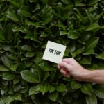 Exploring Proven Services for TikTok Growth and Engagement in 2025