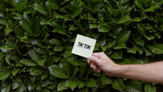Exploring Proven Services for TikTok Growth and Engagement in 2025