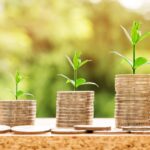 What Should You Do With Your Business Profits?