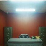 DIY vs. Pro: Making the Right Call on Property Upkeep