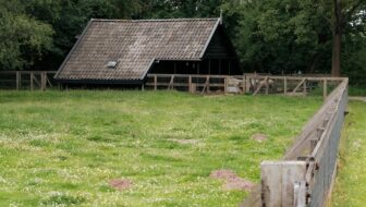The Business Case for Replacing Natural Grass With Artificial Turf