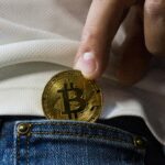 Navigating Bitcoin’s Volatility: Strategies for Entrepreneurs and Investors