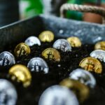 Wealth Creation