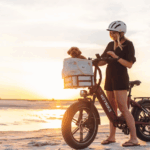Electric Bicycle