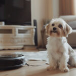 Cleaning with Robot Vacuums.
