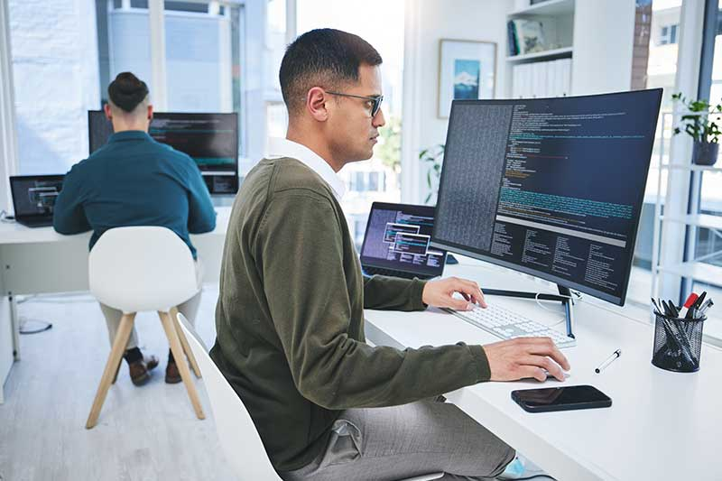 Software Developer