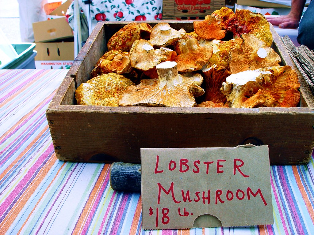 Foraged & Found Edibles -- Lobster Mushrooms