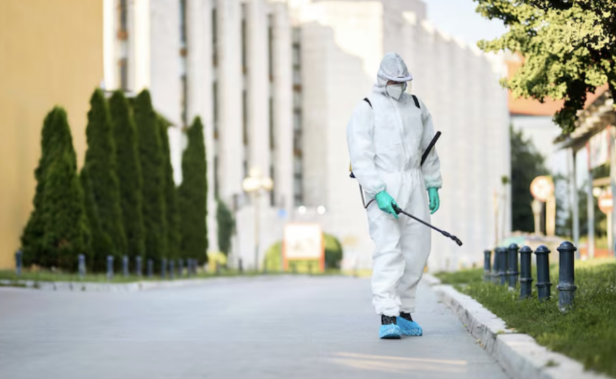 How Does Triangle Pest Control Handle Common Pest Issues In Holly Springs?