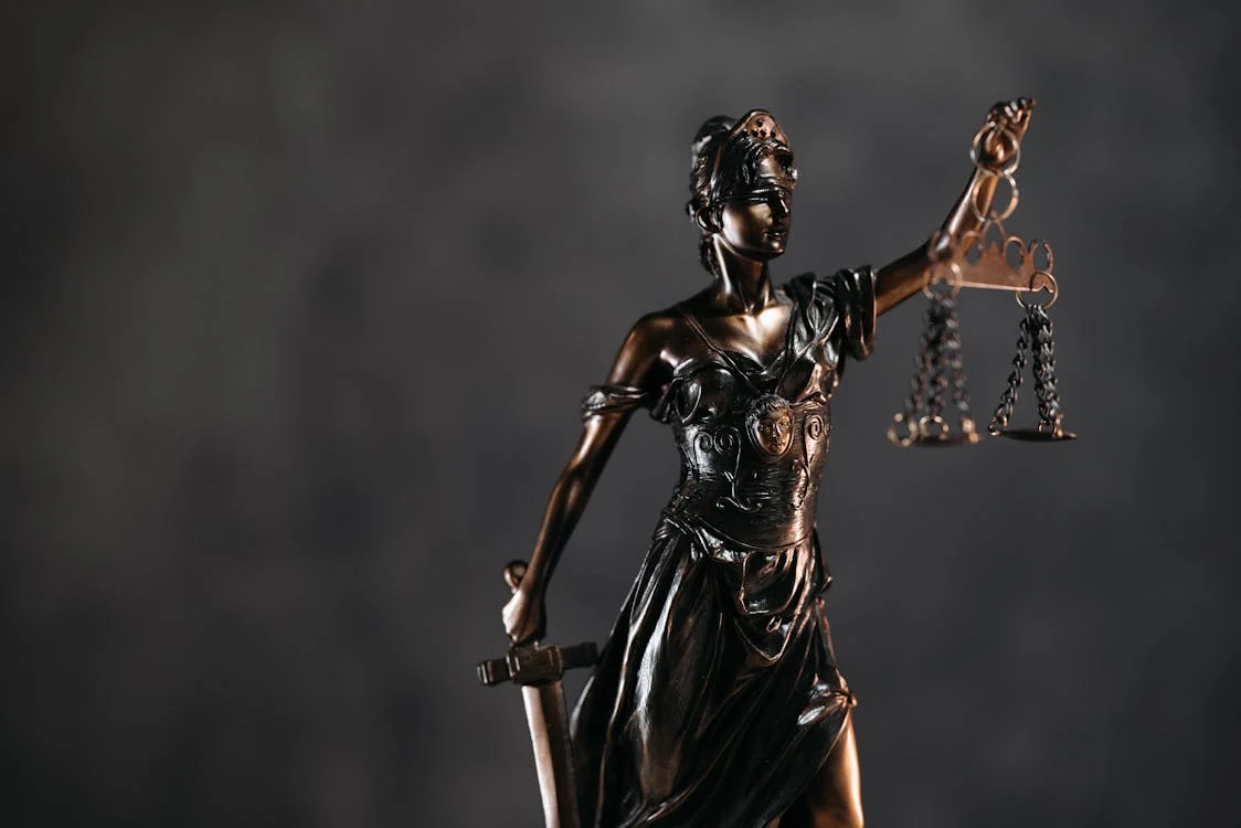 Why Sustainable Development Needs Strong Legal Frameworks