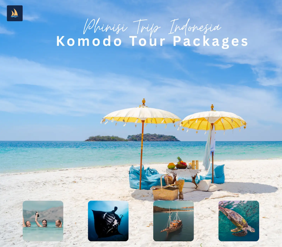 The Best Time to Take a Komodo Island Trip from Lombok with Phinisi Trip Indonesia